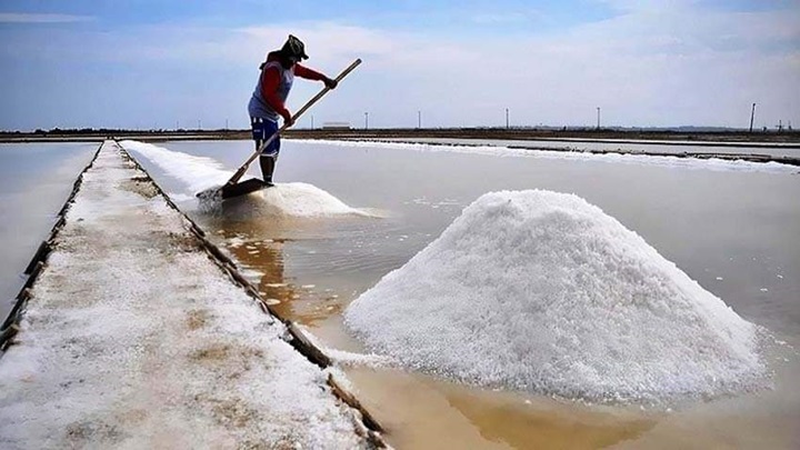 Salt Project