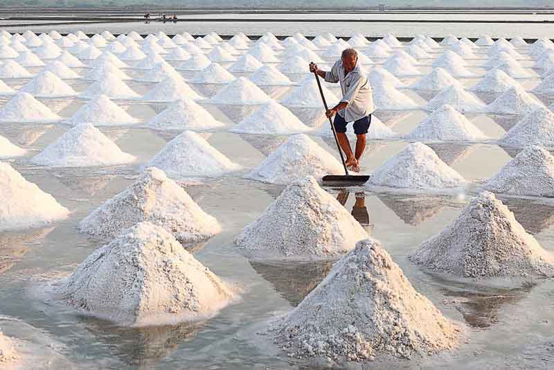 Salt Project